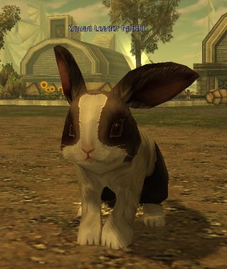 Moradon kapısındaki Squad Leader Rabbit NPC